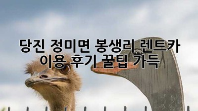 당진 정미면 봉생리 렌트카 이용 후기: 꿀팁 가득!