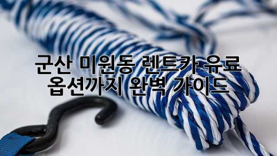 군산 미원동 렌트카: 유료 옵션까지 완벽 가이드